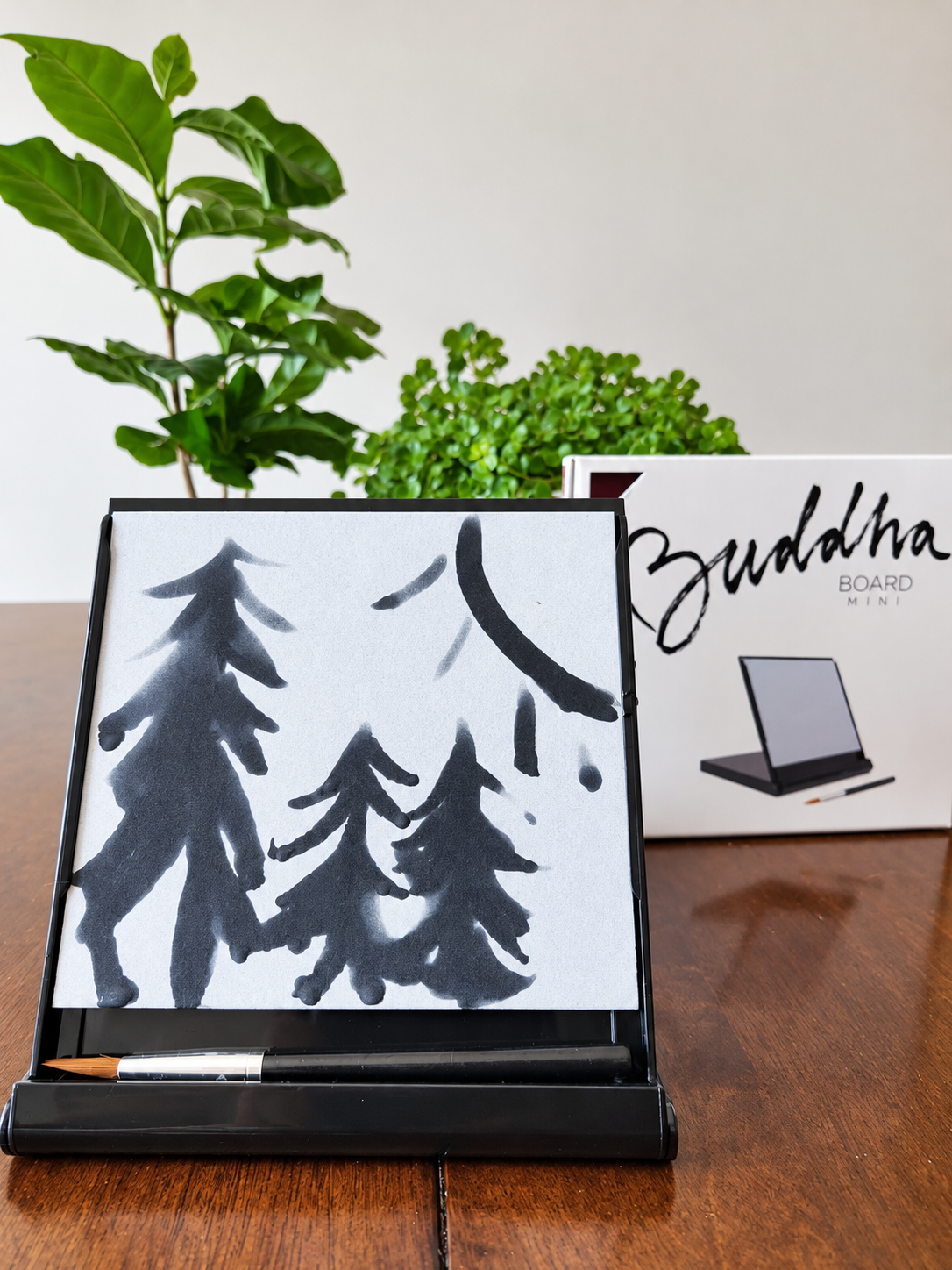 Mini Buddha Board packaging reference — black model shown